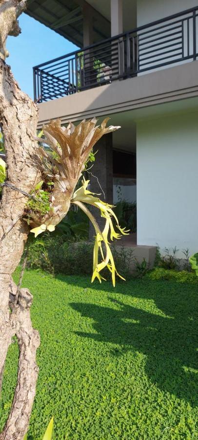 Indraprastha Cottage Ubud 外观 照片
